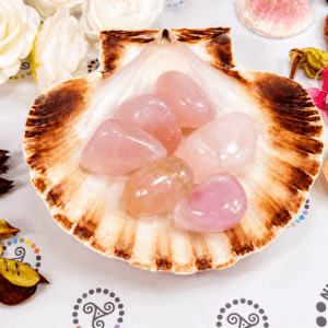 Pierre roulée qualité EXTRA Quartz rose 20 à 30 mm