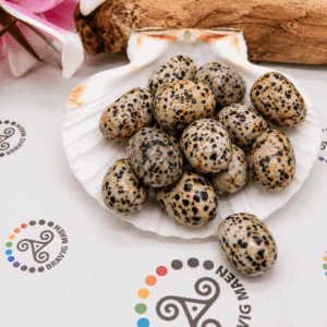 Pierre roulée  : Jaspé Dalmatien 20 - 25 mm environ