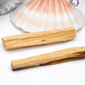Palo Santo – Purification des lieux de vie et des bijoux